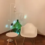 Domus Paradiso *